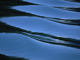 Ripples and Reflections on Water Surface  Alaska