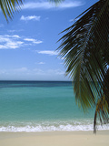 Palm Fronds Frame Bacardi Beach and Lagoon  Dominican Republic  Caribbean