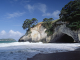 Cathedral Cove  Coromandel Peninsula  North Island  New Zealand