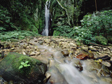 Waterfall on Gombe Stream in Low Montane Tropical Rainforest  Tanzania