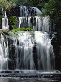 Purakaunui Falls Cascading in Tropical Rainforest  Catlins  South Island  New Zealand