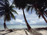 Cruise Ship Off West Coast of Tobago  Caribbean
