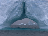 A Snow Petrel Flying Near Ice Formations Off South Georgia