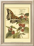Whimsical Butterflies II