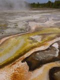 Bacterial Mats  Yellowstone National Park  Wyoming