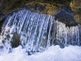 Creek in Mount Rainier National Park  Washington