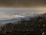 King Penguins and Elephant Seals Cover Saint Andrews Beach