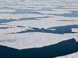Different Shaped Ice Floes Near the Negribreen Glacier in Norway