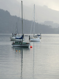 Sailboats Moored in Carey's Bay