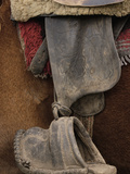 Detail of Chagra Cowboy's Leather and Wooden Stirrup  Ecuador