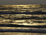 Sunlight Reflecting on Gentle Waves in the Early Morning Hours