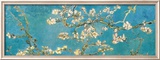 Almond Branches in Bloom  San Remy  c1890