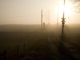 A Railroad Crossing Cloaked in Morning Fog