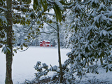 Snowy Landscape with a Red Barn and Magnolia Trees