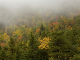 Fall Views from the Slopes of Cadillac Mountain  Acadia National Park