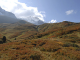 Fall Colors in the Hills Below the Jungfrau