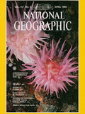 Cover of the April  1980 Issue of National Geographic Magazine
