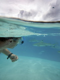 Swimming with Sharks Off the Coast of Manihi