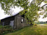 A Barn in the Maple Grove Road Rural Historic District