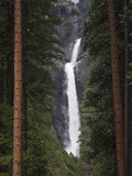 Scenic Lower Yosemite Fall Framed by Pine Trees