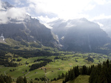 Alpweg Meadows Above the Grindelwald Valley