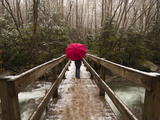 Girl Walking across a Wooden Bridge During a Spring Snowfall
