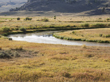Golden-Hued Meadows and Hills around Meandering Slough Creek