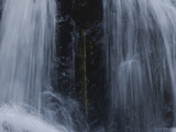 Waterfalls at Walter Sisulu Botanical Gardens