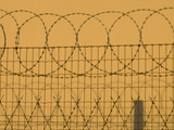 Barbed Wire Fence and its Shadow Against a Wall