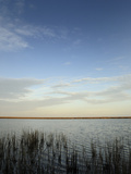 A Shallow Pond at a Whooping Crane Sleeping Place
