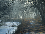 Misty View Looking South on the C&O Canal