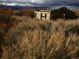 A Cabin in Grand Teton National Park