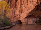 A Hiker Walking in the Creek Surrounded by Fall Colors