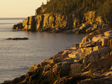 Otter Cliff at Sunrise  in Acadia National Park
