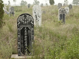 An Engraved Tombstone in a Field
