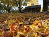 Historic Hartwell Tavern and Leaves in Autumn Hues