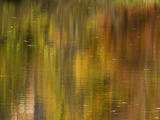 Reflections of Fall Colors in Eagleville Lake