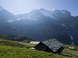 View of the Eiger  Monch and Jungfrau from an Alpine Hillside
