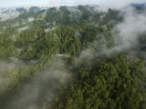 New Guinea's Foja Mountains Stand Above Surrounding Lowland Forest