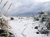 Heavy Clouds over a Snowy Landscape at an Atlantic Beach