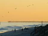 Birds Soaring over Silhouetted Beach Fishermen at Twilight