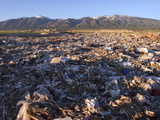 Salt Lake City's Garbage Dump on the Skull Valley Indian Reservation