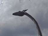 Tin Sculpture of a Giraffe