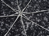 Patterns of Falling Snowflakes Gather in an Upturned Umbrella