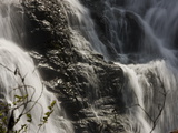 Waterfalls at Walter Sisulu Botanical Gardens