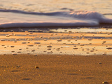 Close-Up of Surf on Wrightsville Beach at Sunrise