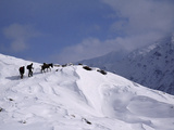 Herders and Mule Depart the Rupal Valley
