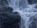 Waterfalls at Walter Sisulu Botanical Gardens