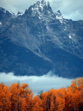 Fall Colors in Grand Teton National Park
