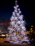 A Silver Christmas Tree Glows in Downtown Georgetown